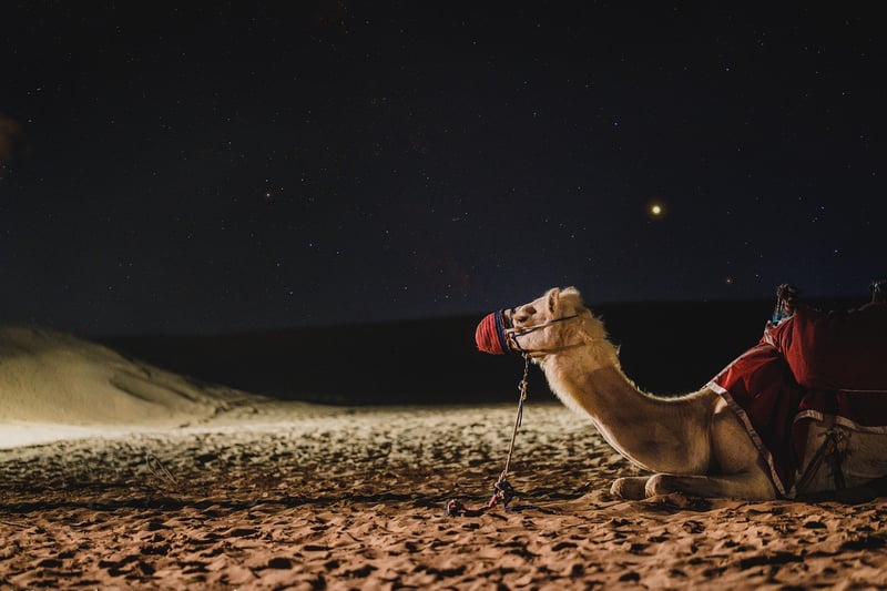 Starry night photography
